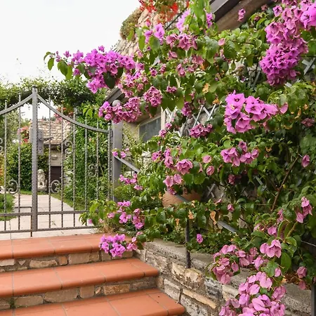Casa Elka 6 Apartment Pieve (Lombardy)